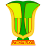 Atlético Palmaflor