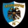 Erzurumspor FK